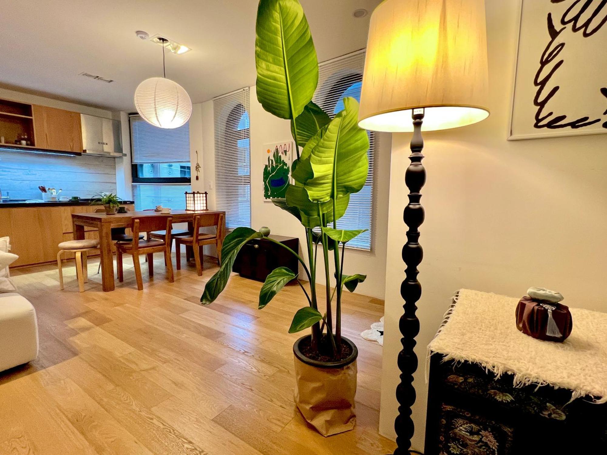 Korean Traditional Terrace House سيول المظهر الخارجي الصورة